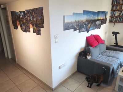 Shonra and Shlula enjoy the panoramas