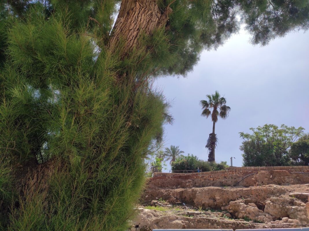 עתיק ומוריק