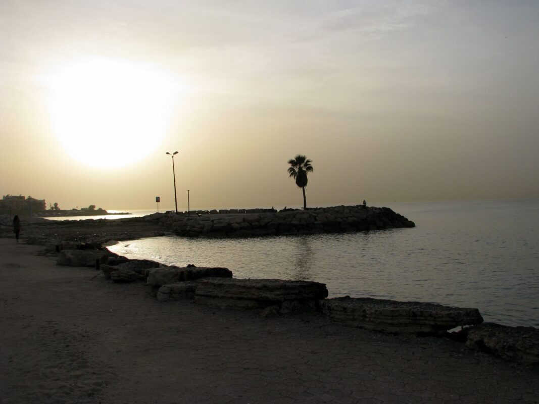 צללית לשון הים