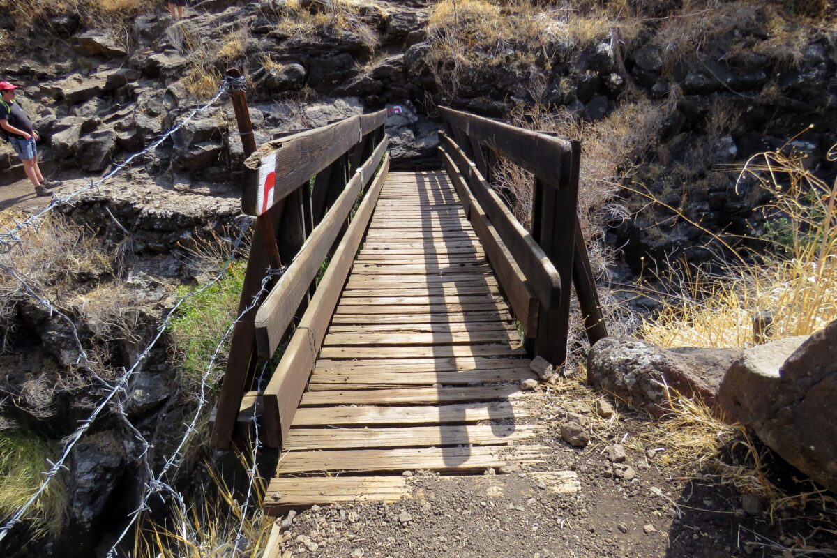 מה השם שלך? מה המשימה שלך?