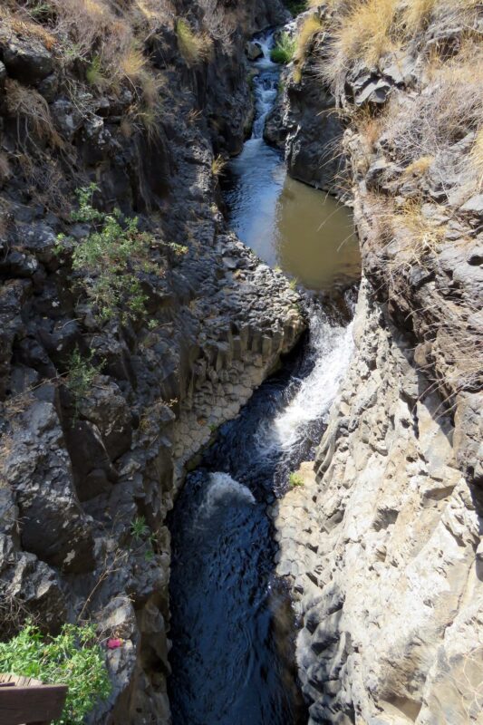 ועוד קצת מתפתל