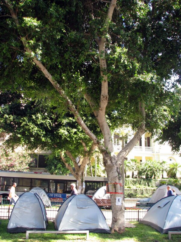 קמפינג עירוני