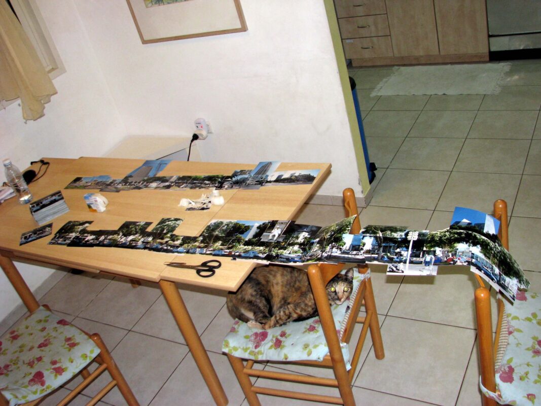 כבישי צופה בעניין