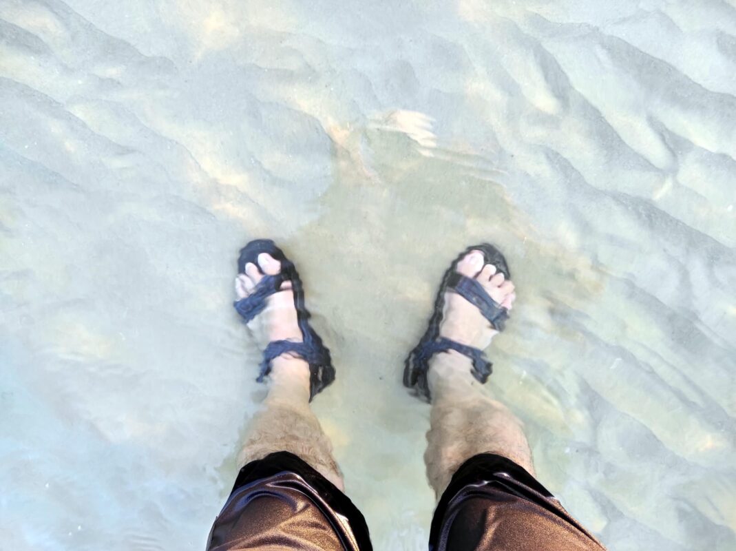 מה שצלם צריך לעשות כדי לתפוס תמונה טובה