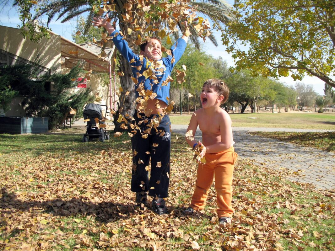 הילדים נהנים מעלי השלכת