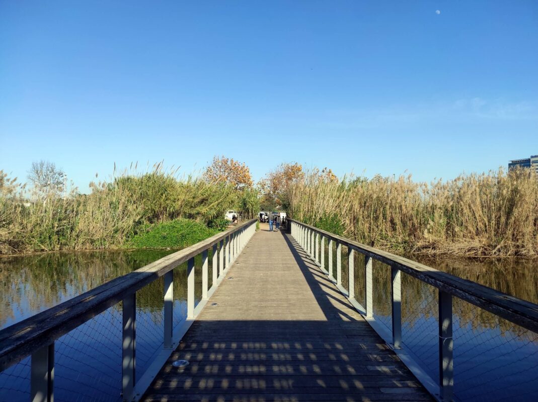 יש לי חולשה לגשרי עץ