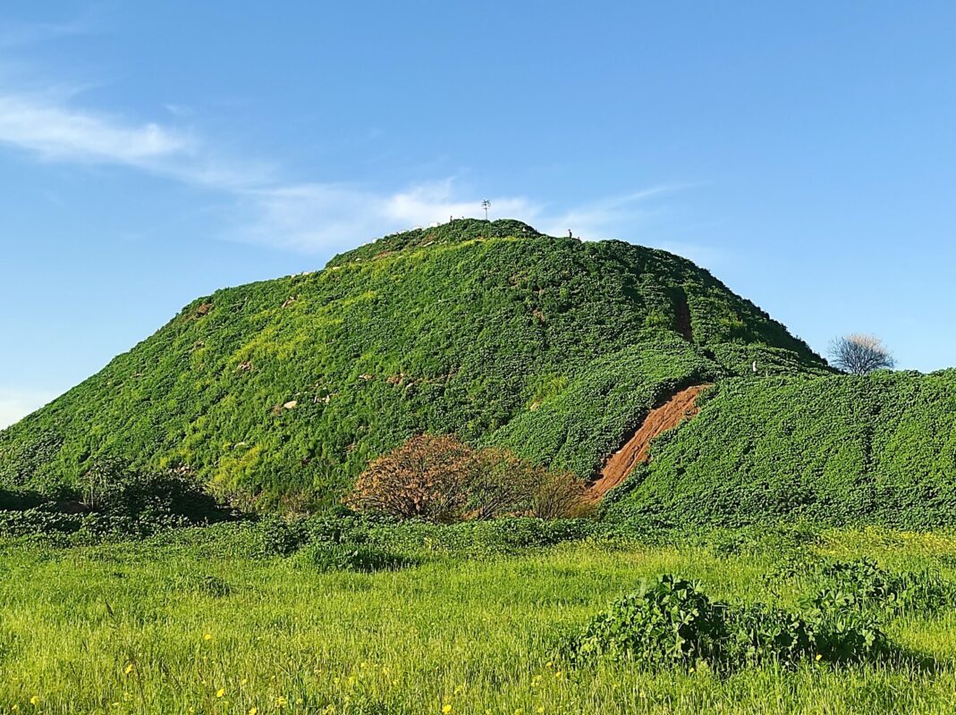 ההר הירוק תמיד (לפחות בחורף)