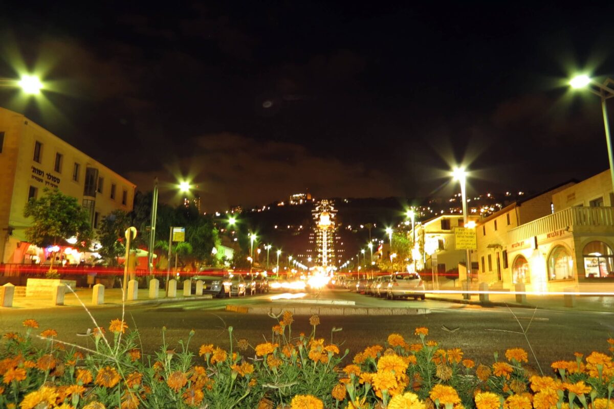 פריחה חיפאית