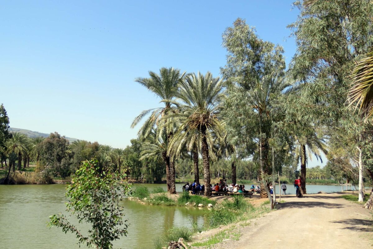 A tongue of land with palm trees
