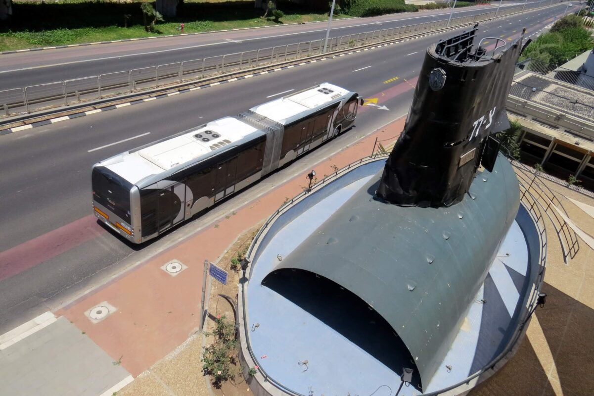 Remains of a grouper that was fished out, and a matron