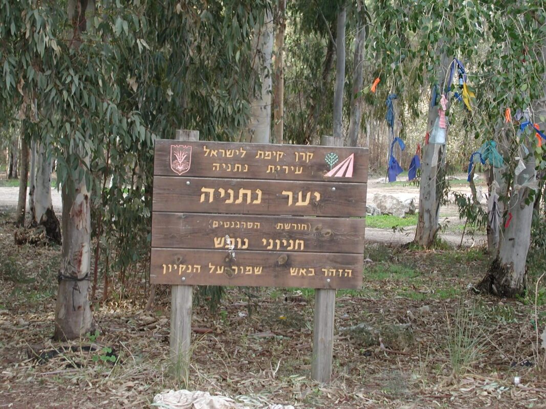 השם הרשמי שנתנה קק"ל