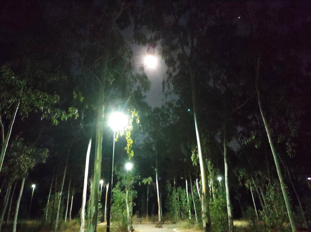 מאור קטן, מאור פצפון, והרבה מאורות מלאכותיים