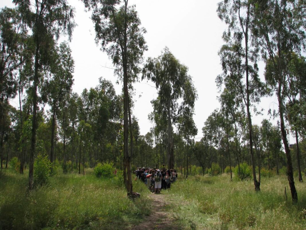 סיור לימודי בשבילי החורשה