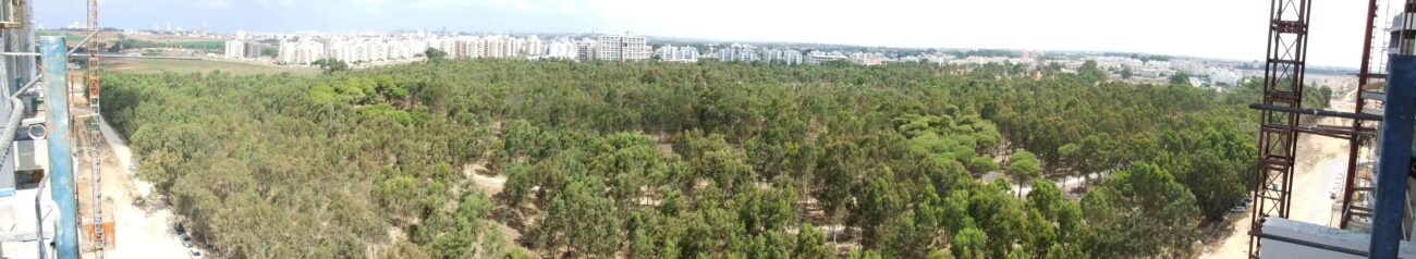 פנורמת החורשה ממרומי רח' האלונים מימי הקמת השכונה. צילום: עמיר פרי