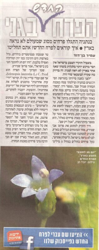 פרח חדש שהתגלה בחורשה. ידיעות אחרונות 24.4.2011