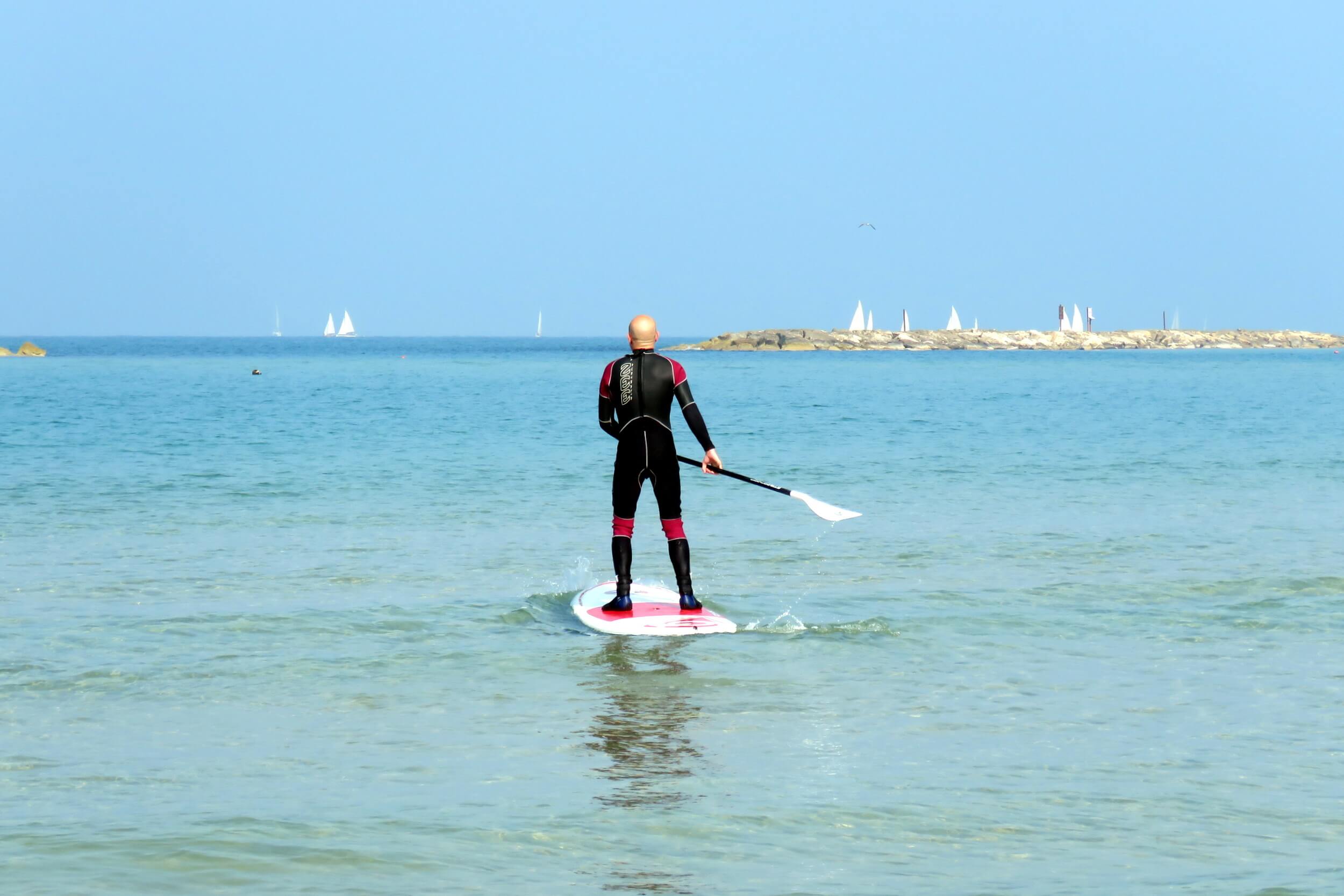 Looking to the future