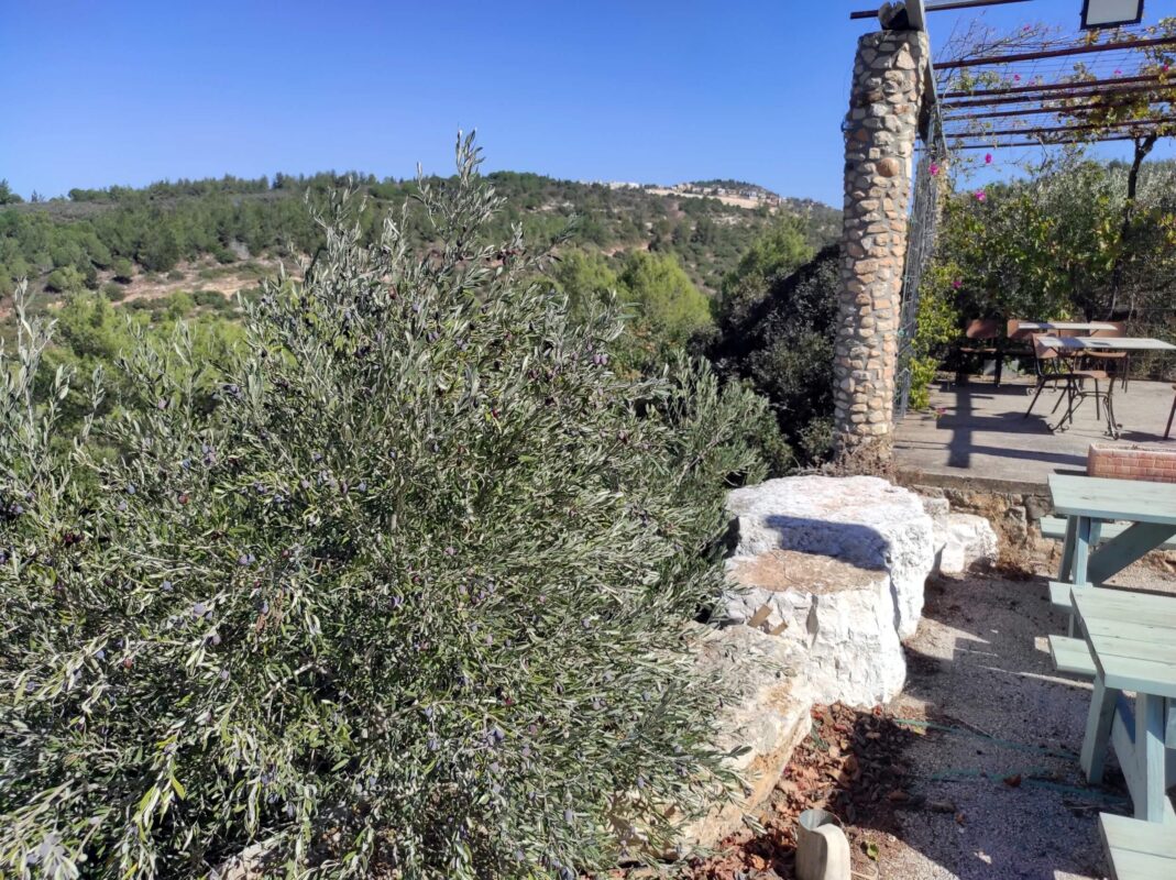 We will come back and sit there for coffee