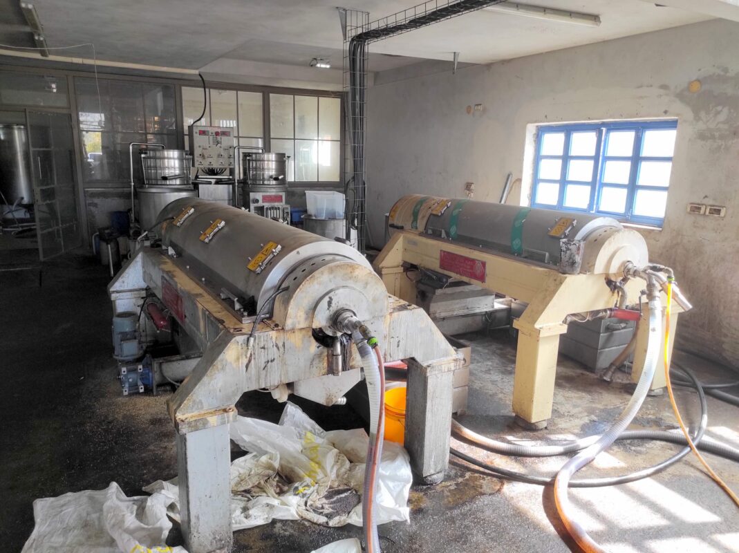 Rollers in the Galilean olive press