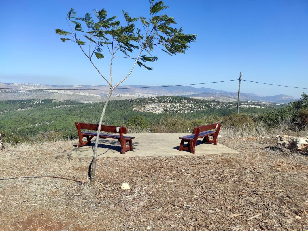 Beautiful view, tree and telephone cable