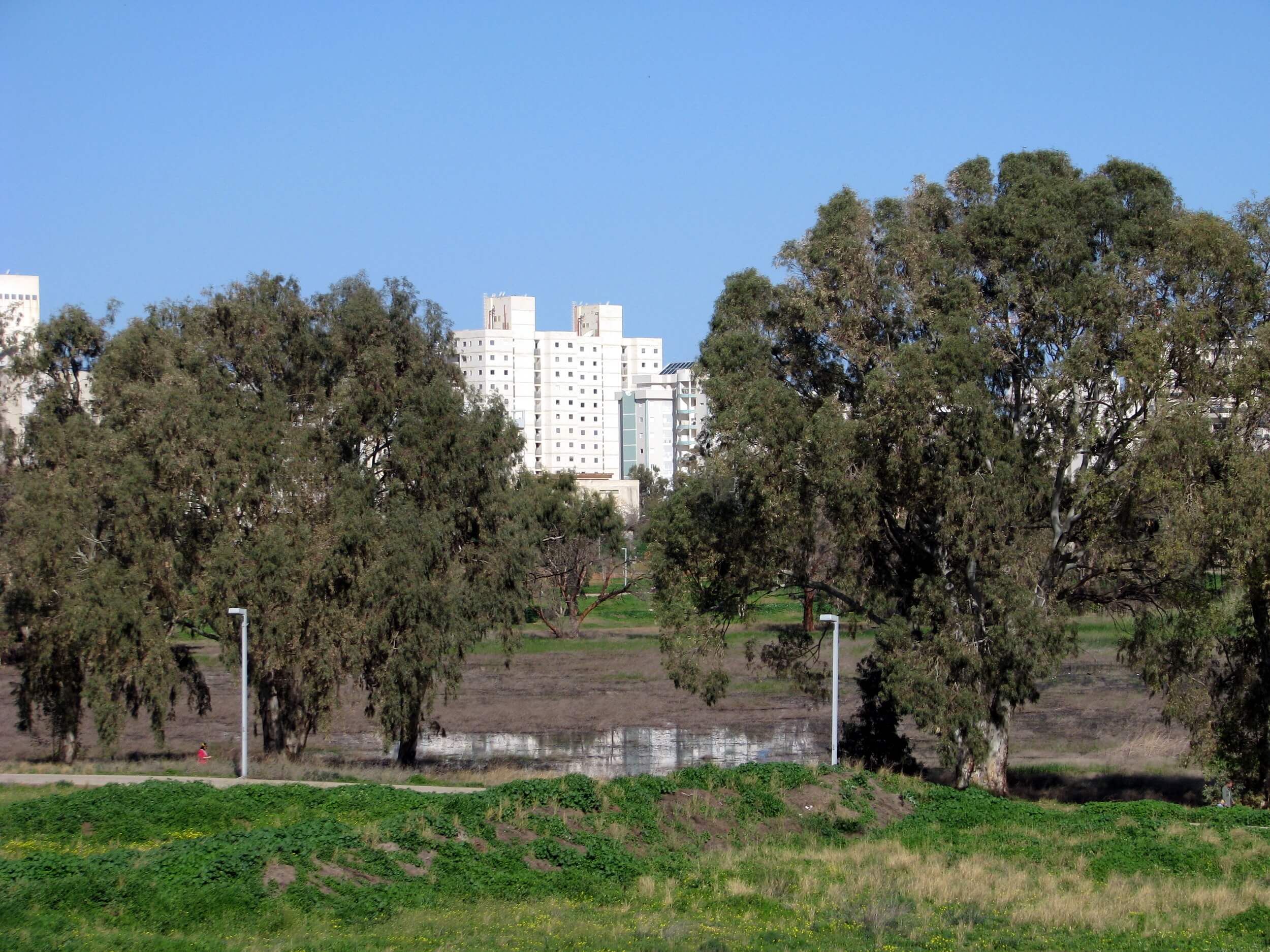 The Puddle in February, Starting to Fill Up