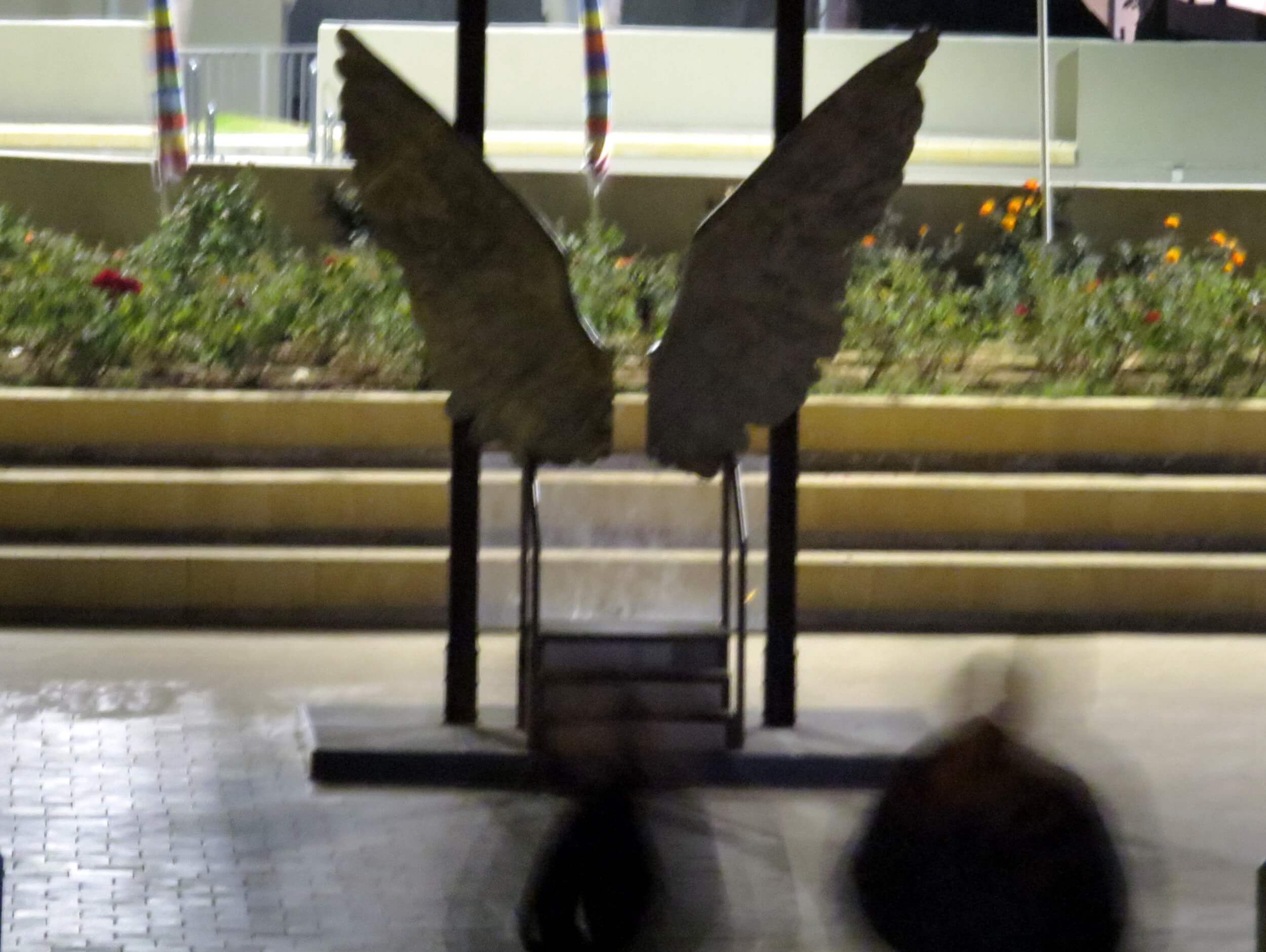 Angels Without Wings and Wings Without Angels