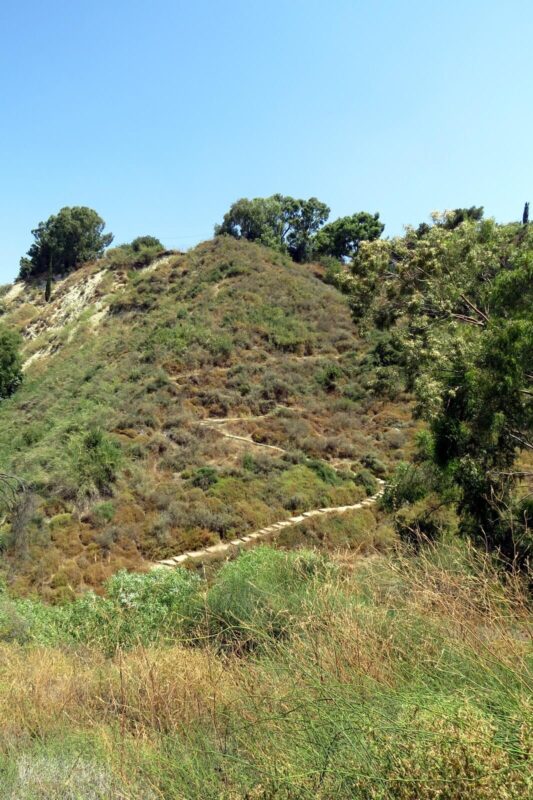 Ascent to the Lookout