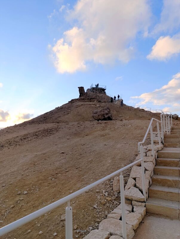 הנה גמל, רואים?