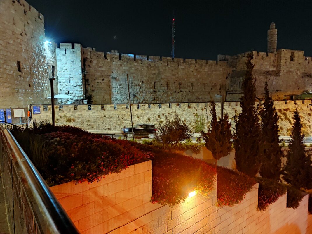 טראסות פורחות