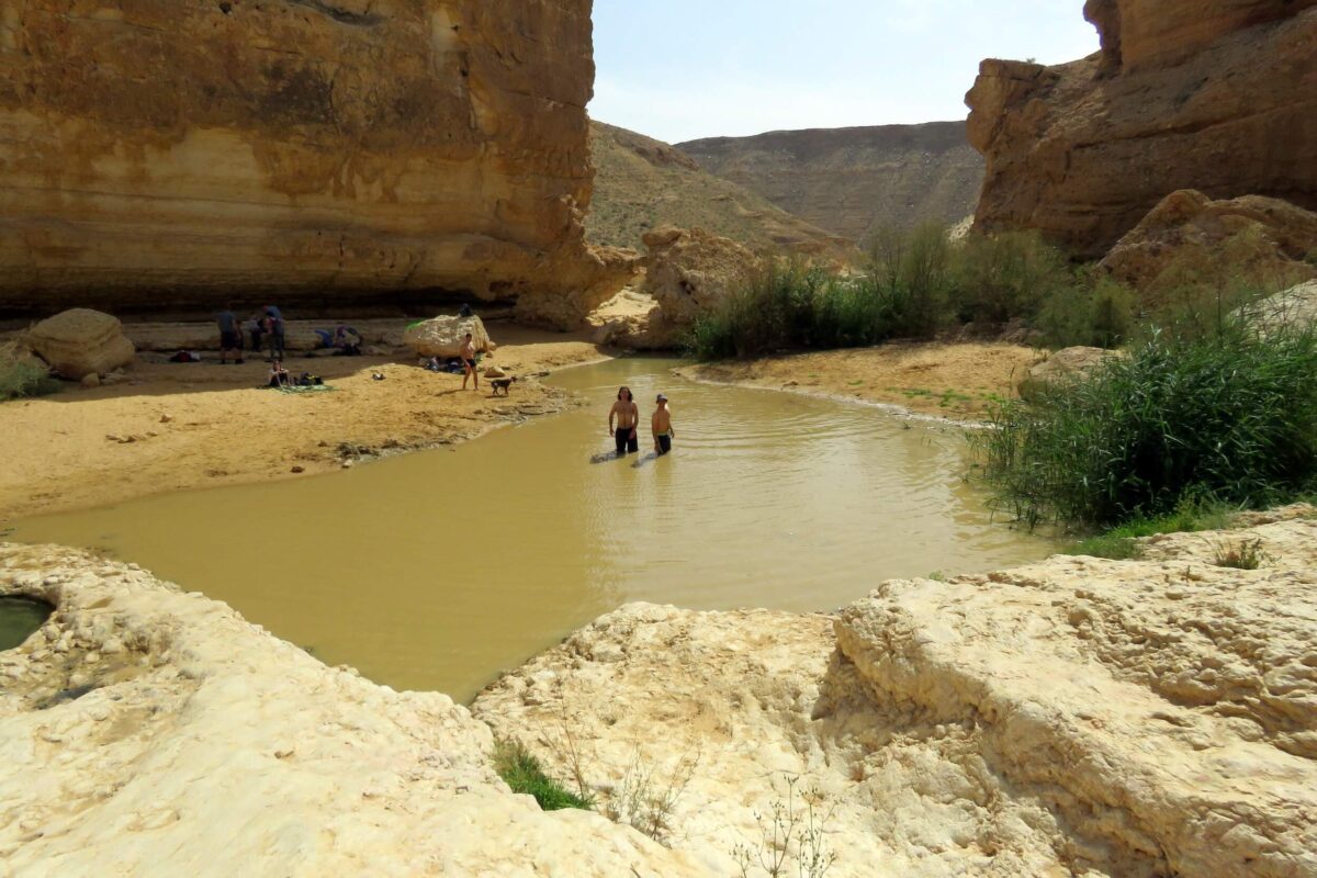 The children are spending time in the water