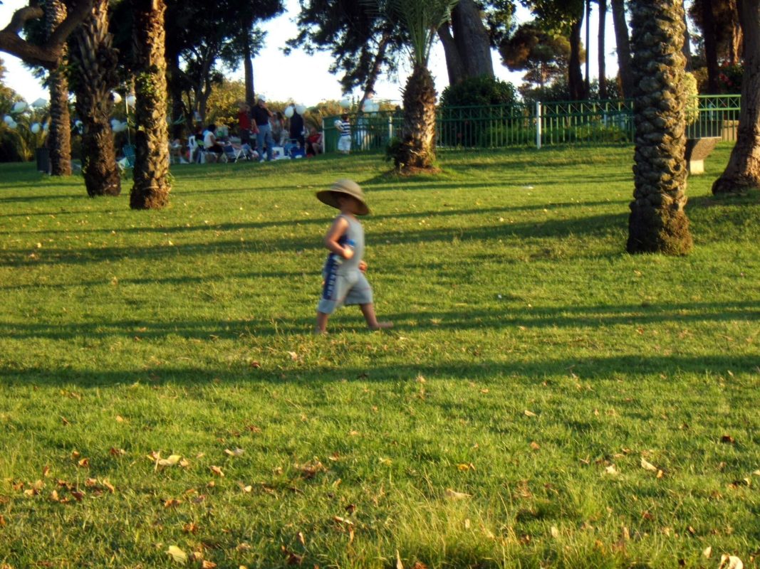 Omer went for a walk