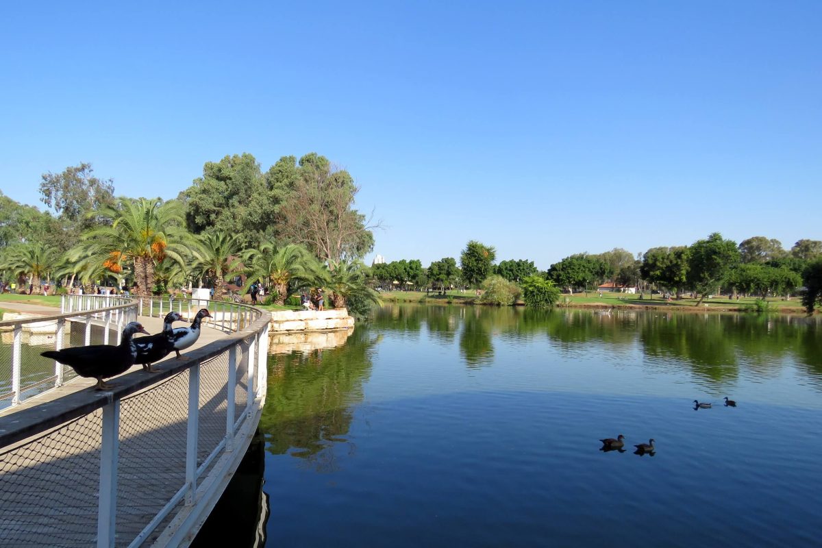 Four mothers three fathers