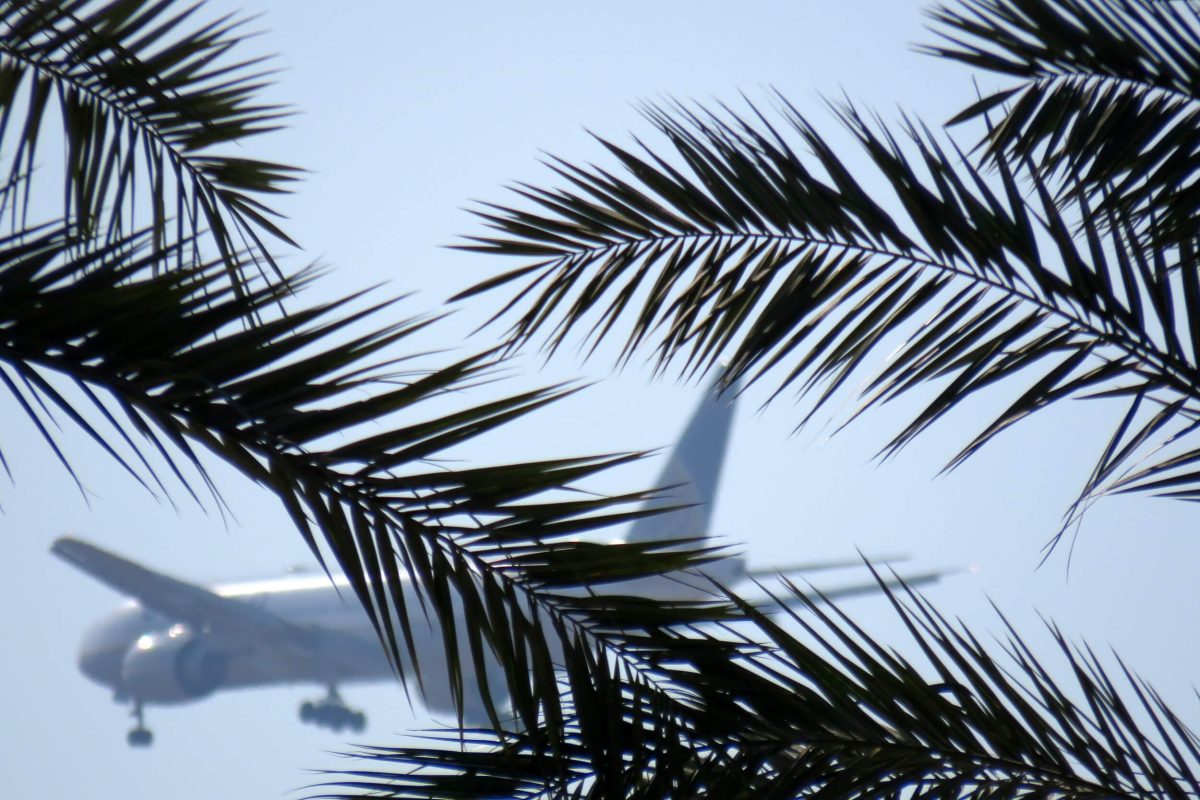 Plane takes off through a green grid