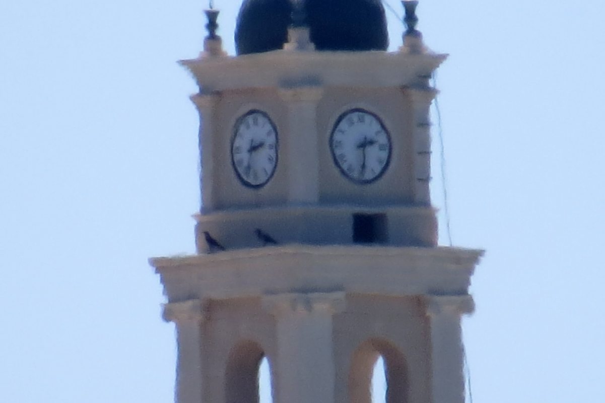 Zoom on the clock and a pair of ravens