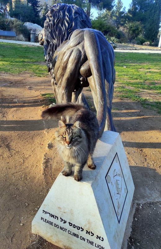 אתה לא תגיד לי מה לעשות!