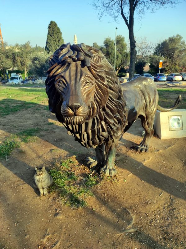 חתול ירושלמי וחד קרן