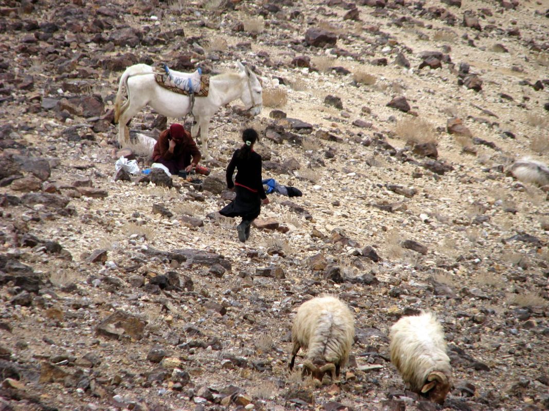שחורים ולבנים