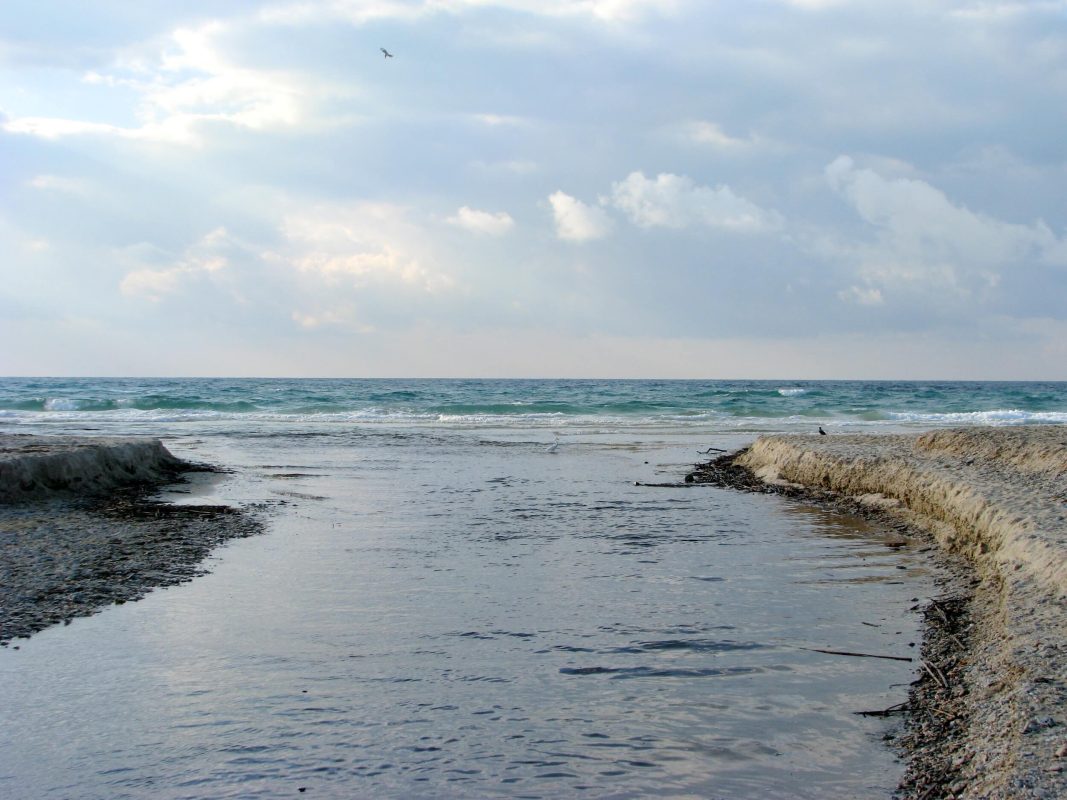 Alexander Stream estuary