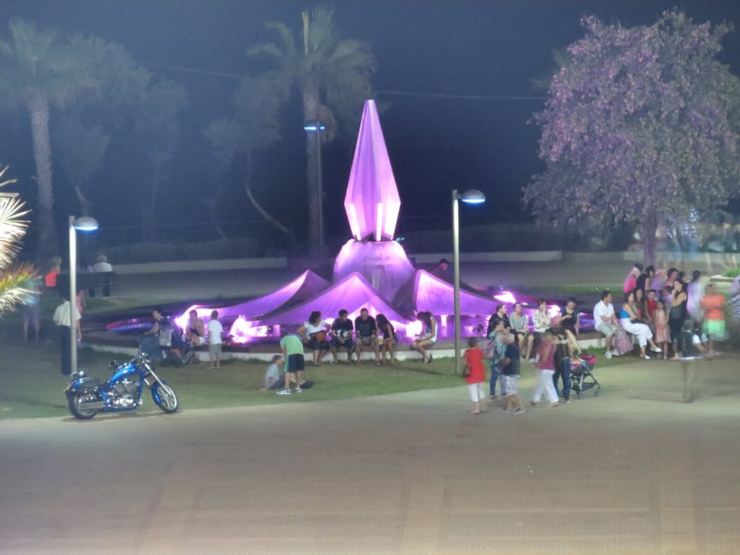 The purple water lily