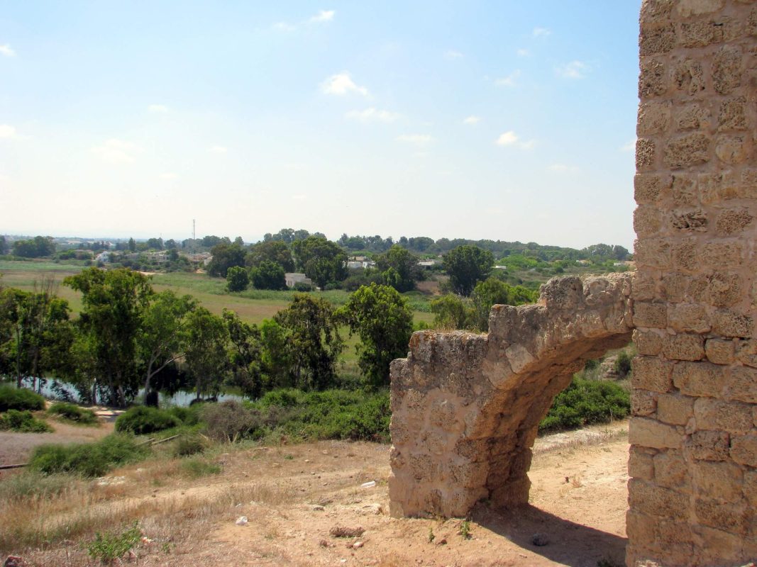 The Citadel's Elephant Leg
