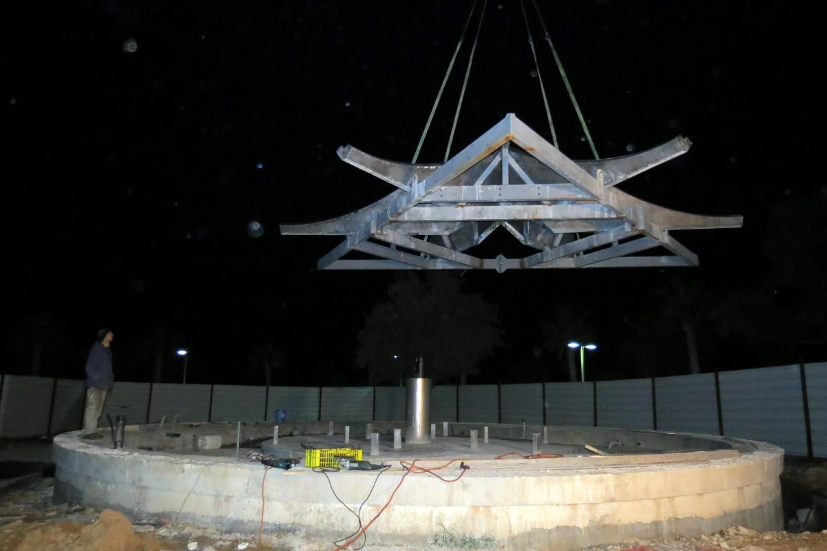 Moving the water lily to its new location