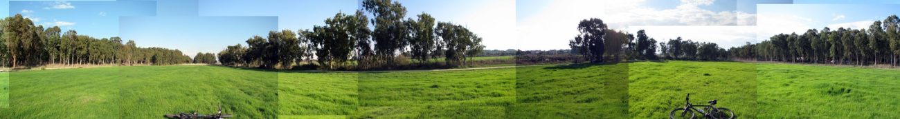 שדה ירוק בנחל אלכסנדר תמונה ראשית
