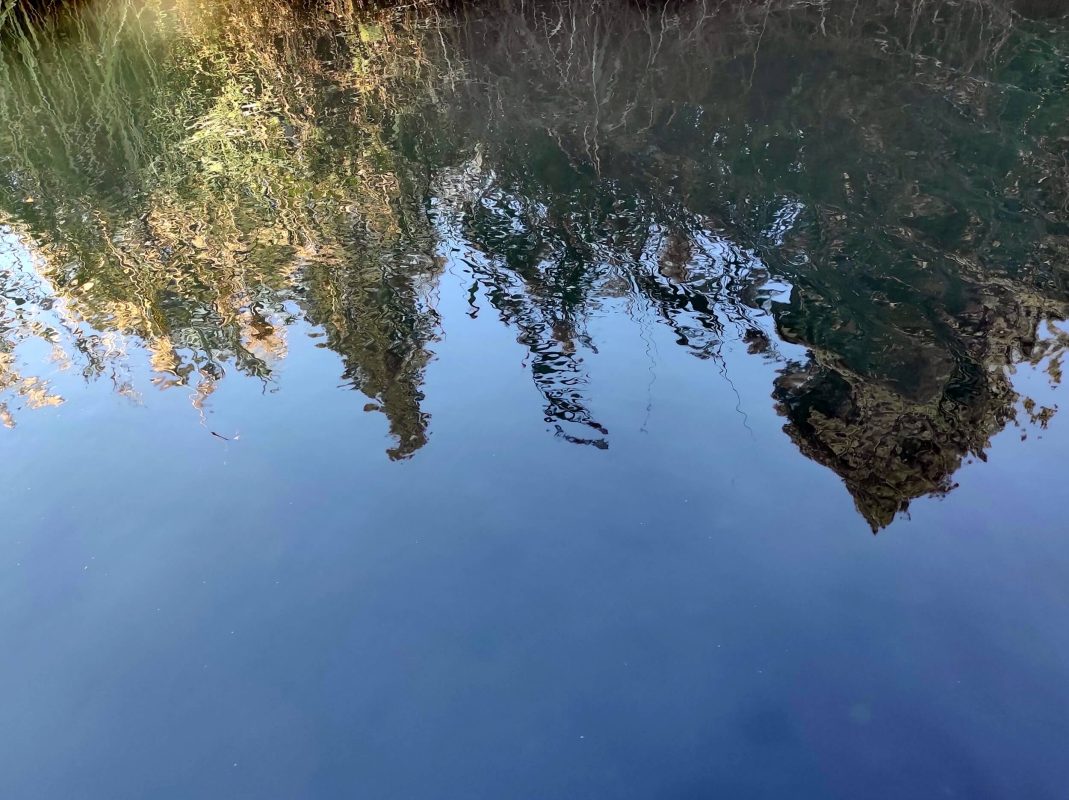 Reflection in the clear water