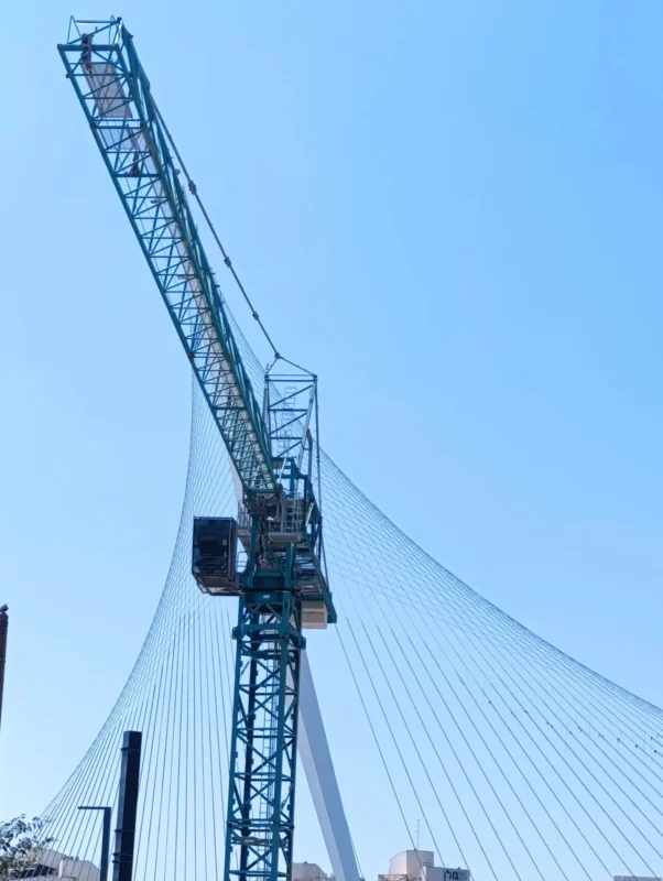 41. The crane is adorned with strings not its own