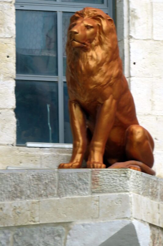 The lion is watching over us