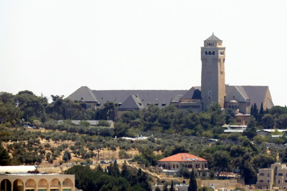 זום מאגריפס