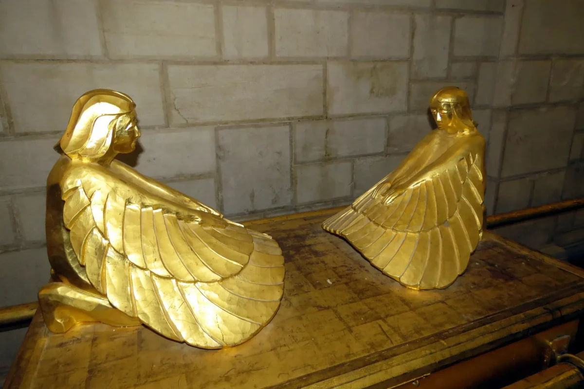 כרובים קרובים