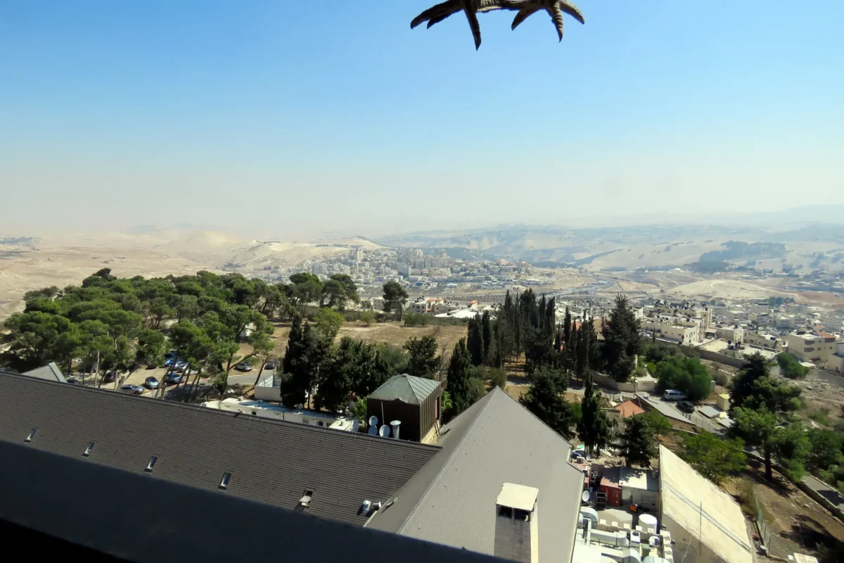 לא ברור לי אם נכנסה לי ציפור לפריים או שיש פסל