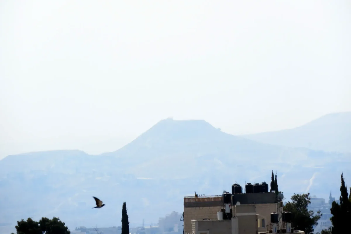 ציפור עפה על רקע ההרודיון