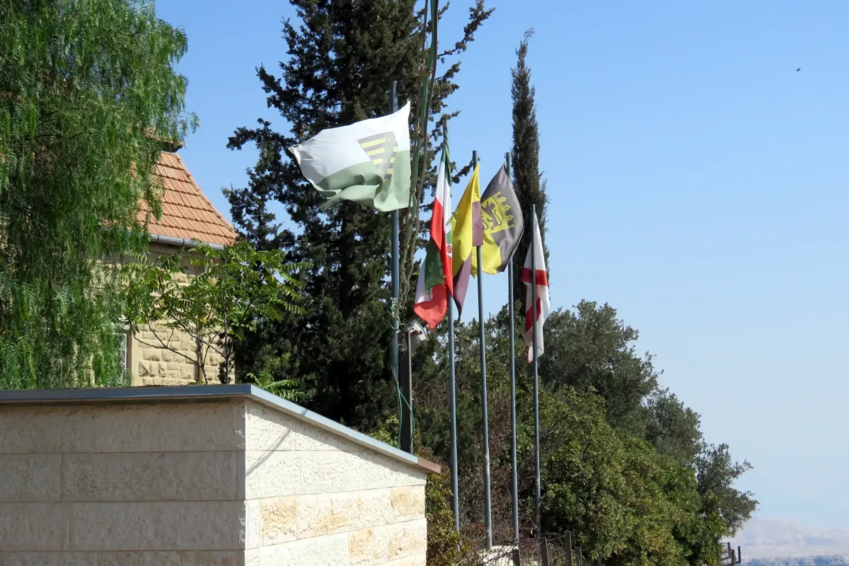 דגלים מתנופפים