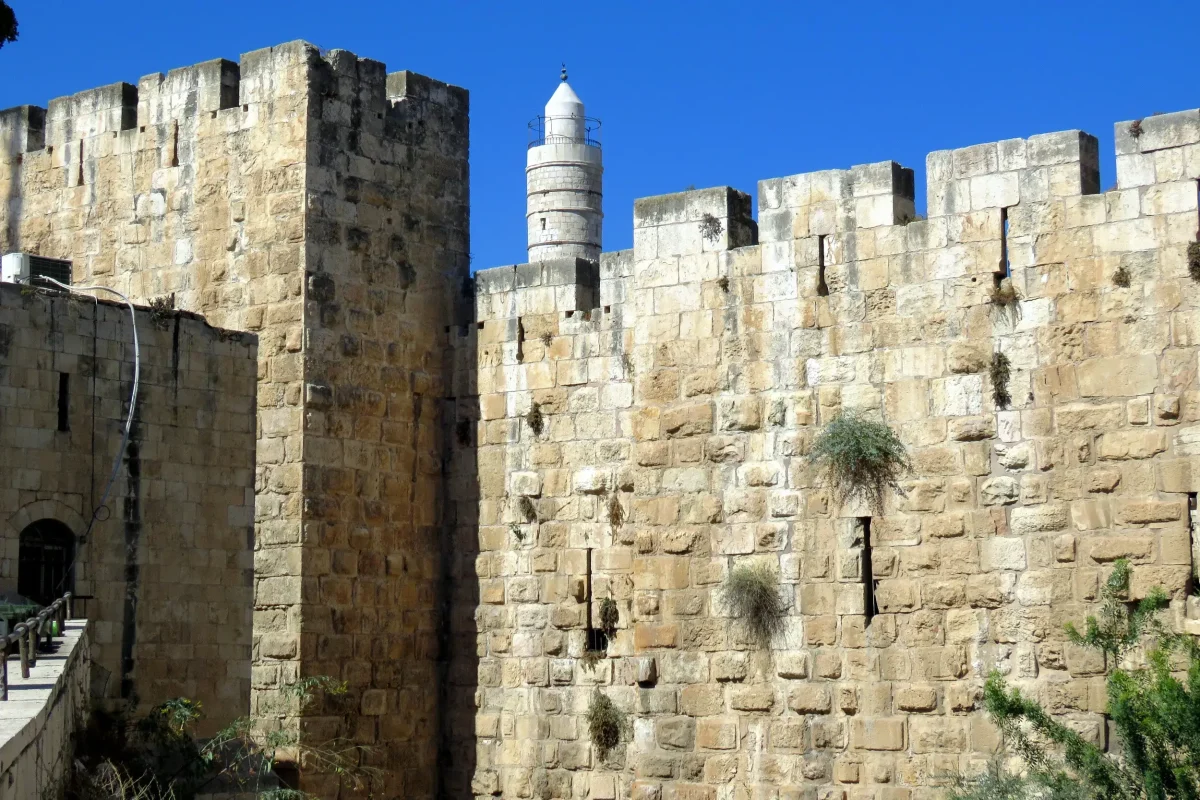 מציץ בין החומות